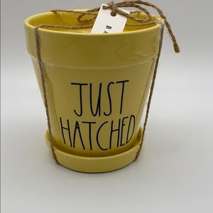 Rae Dunn “JUST HATCHED” Planter